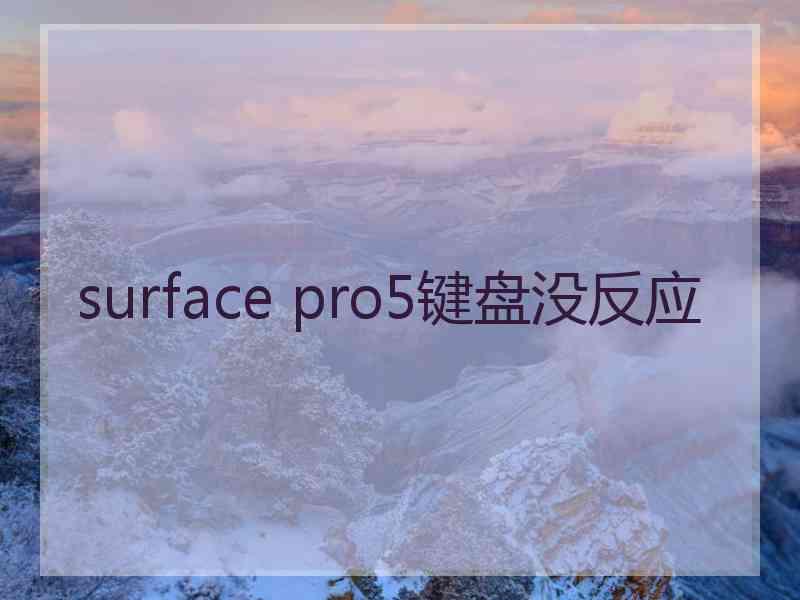 surface pro5键盘没反应