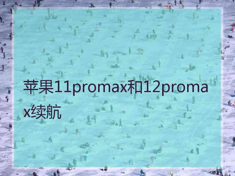 苹果11promax和12promax续航