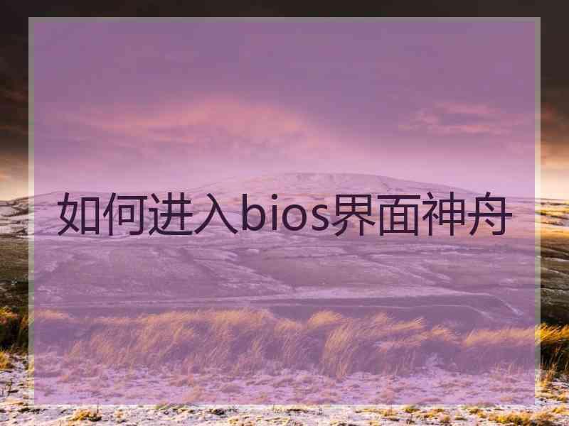 如何进入bios界面神舟