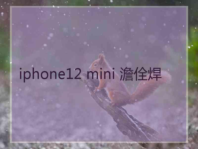 iphone12 mini 澹佺焊