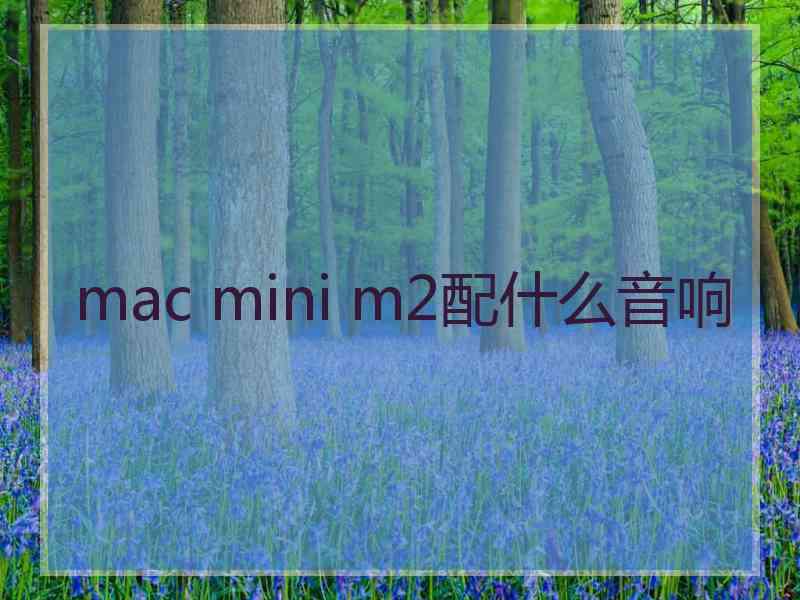 mac mini m2配什么音响