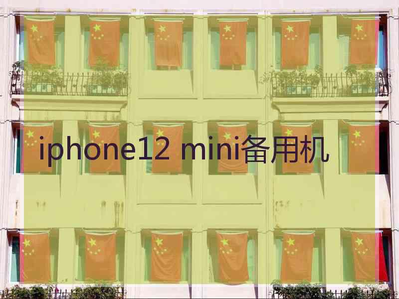 iphone12 mini备用机