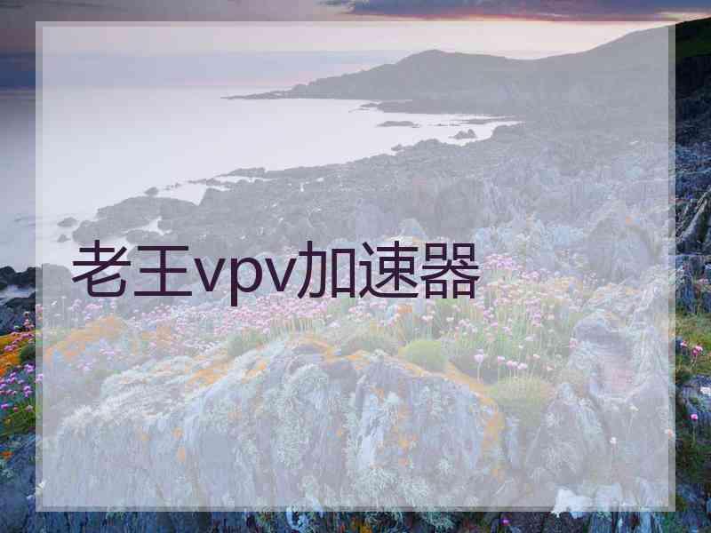 老王vpv加速器