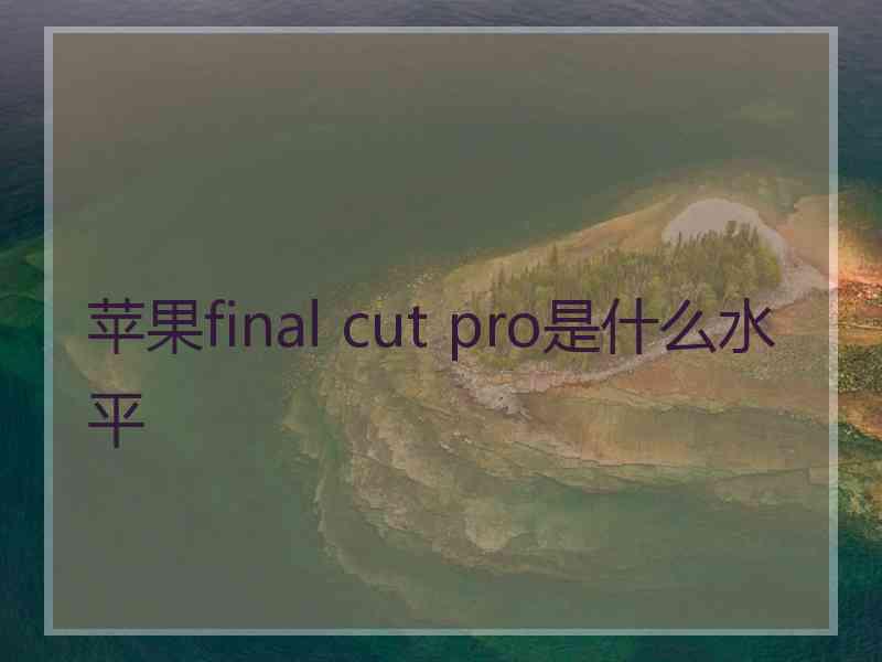 苹果final cut pro是什么水平