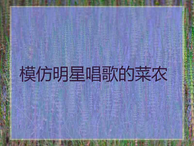 模仿明星唱歌的菜农