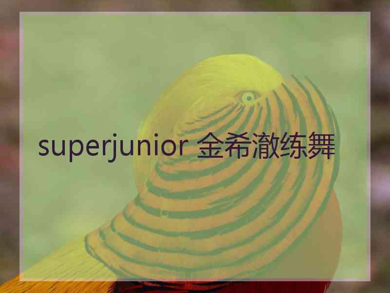 superjunior 金希澈练舞