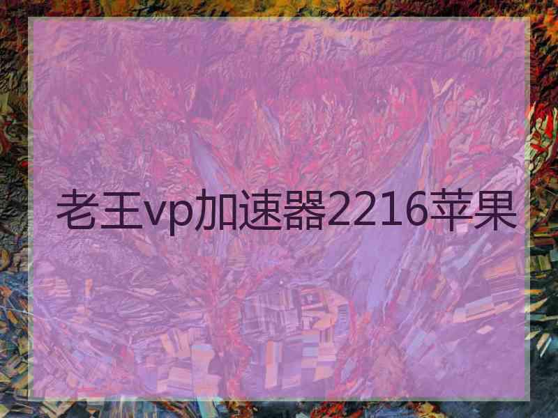 老王vp加速器2216苹果