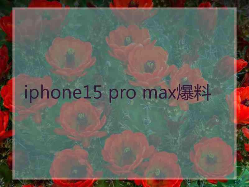 iphone15 pro max爆料