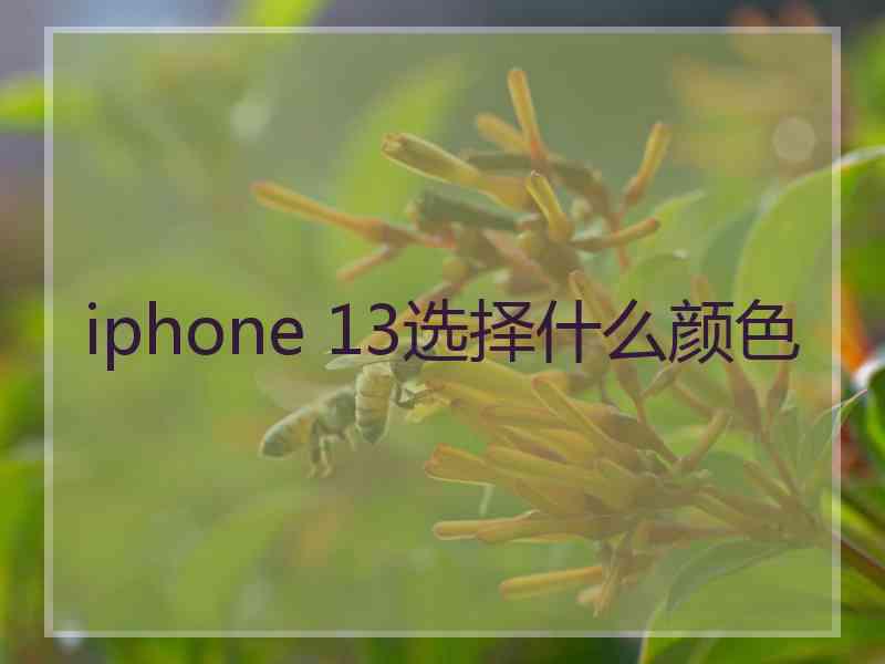 iphone 13选择什么颜色