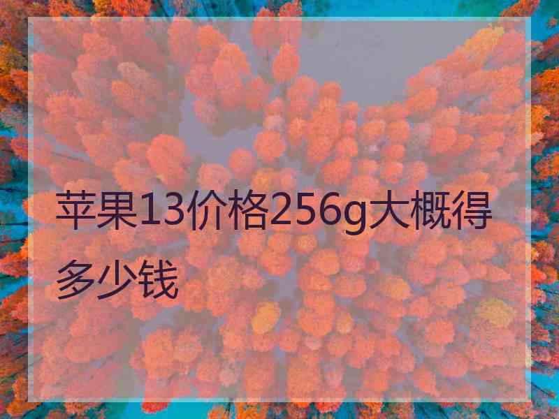 苹果13价格256g大概得多少钱