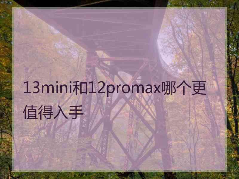 13mini和12promax哪个更值得入手