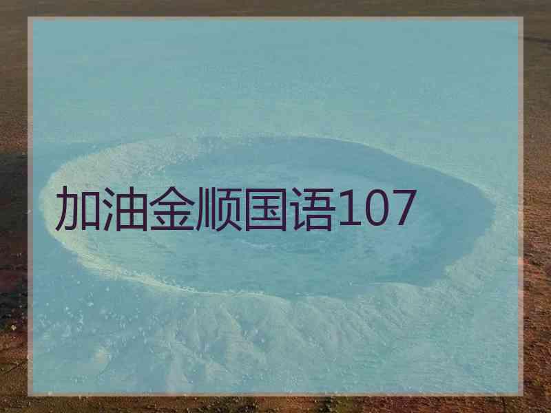 加油金顺国语107