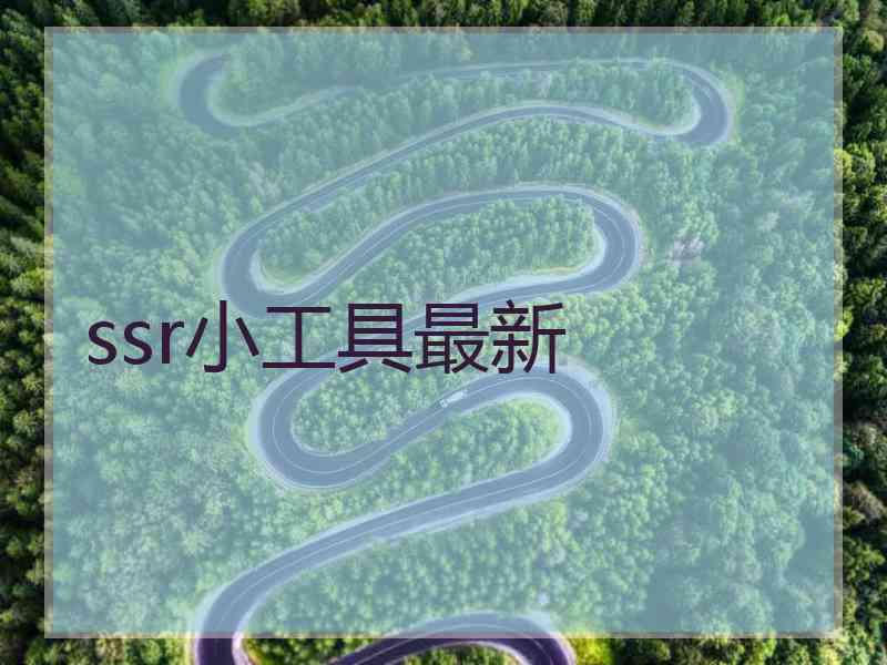 ssr小工具最新