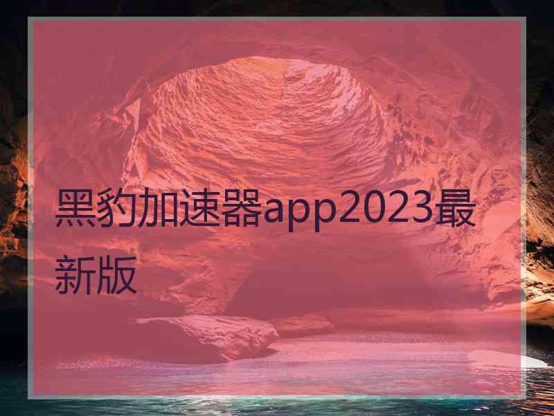 黑豹加速器app2023最新版