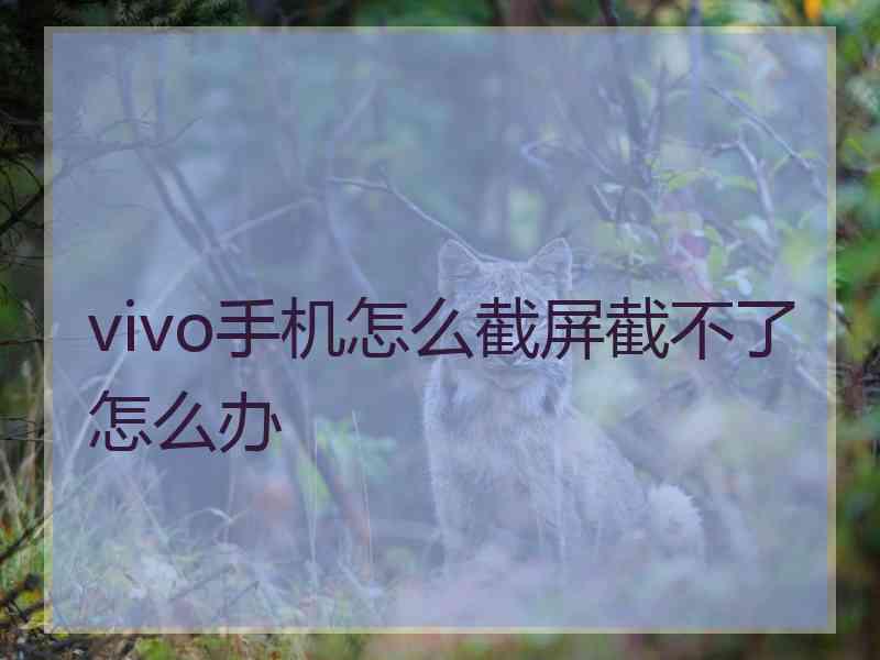 vivo手机怎么截屏截不了怎么办