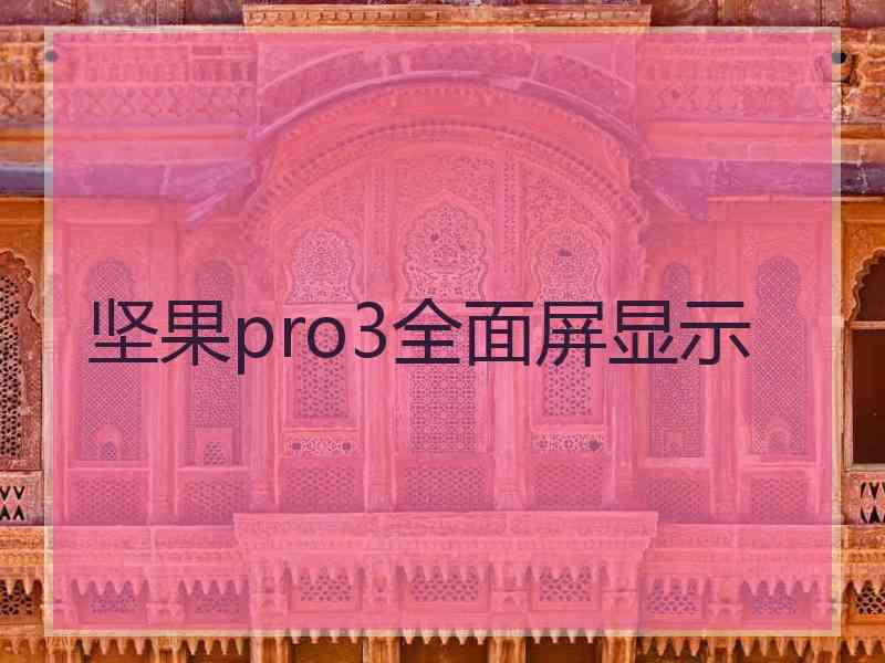 坚果pro3全面屏显示