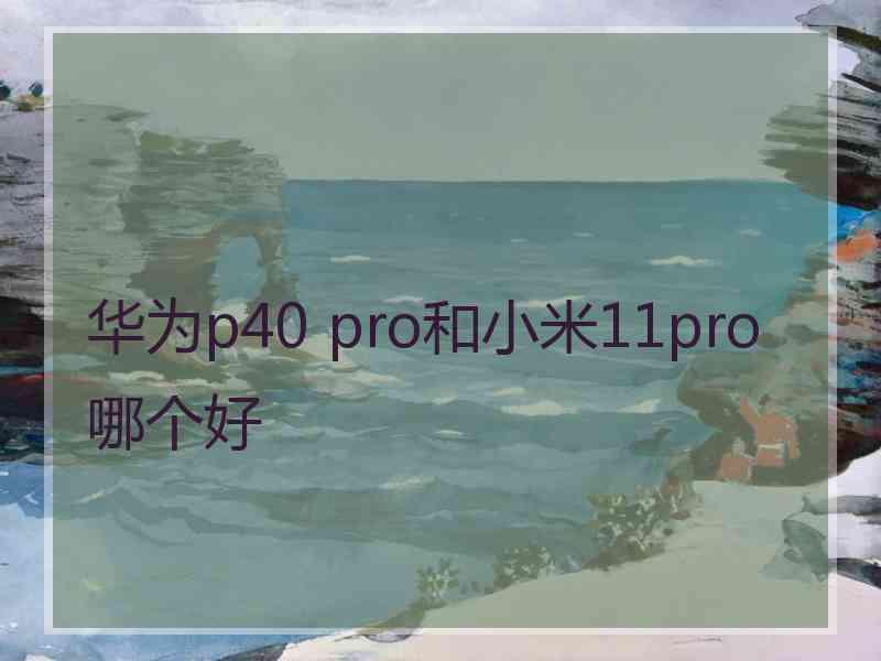 华为p40 pro和小米11pro哪个好