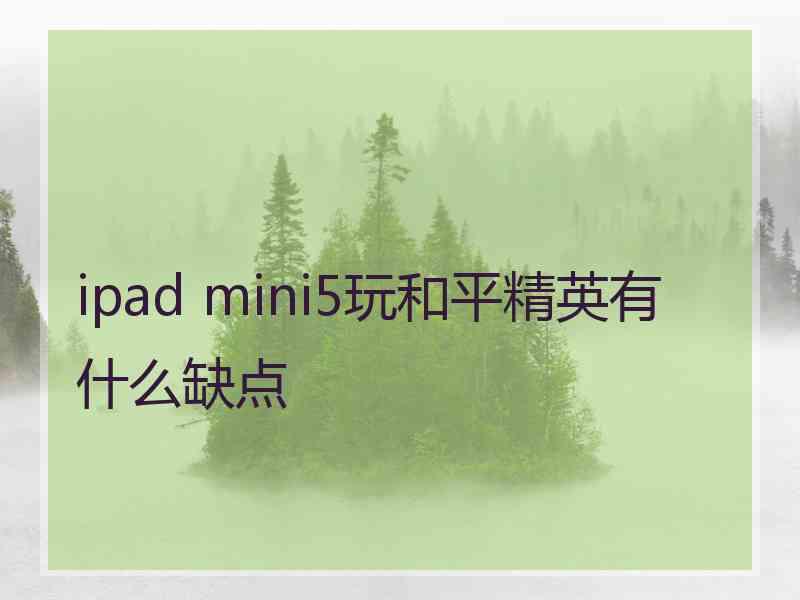 ipad mini5玩和平精英有什么缺点