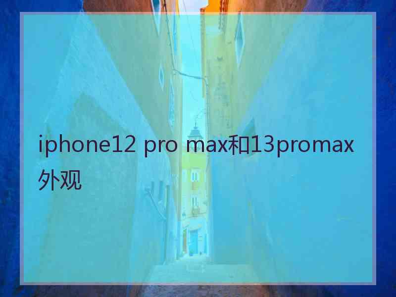 iphone12 pro max和13promax外观