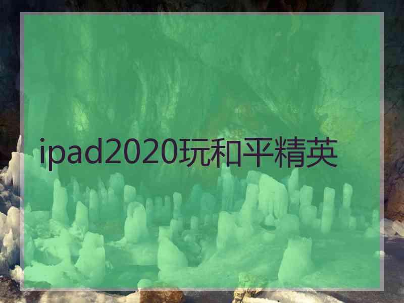 ipad2020玩和平精英