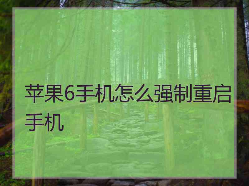 苹果6手机怎么强制重启手机