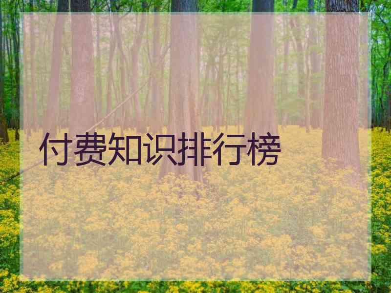 付费知识排行榜