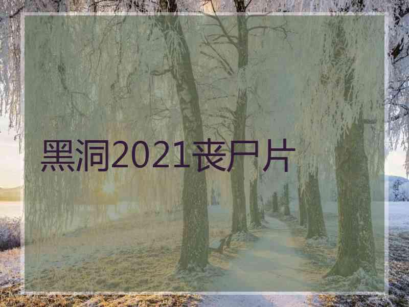 黑洞2021丧尸片