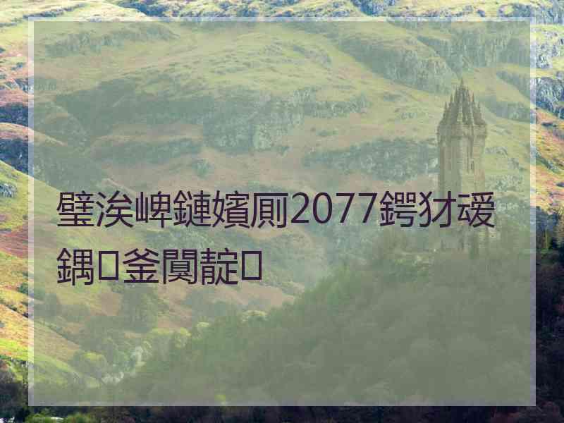 璧涘崥鏈嬪厠2077鍔犲叆鍝釜闃靛