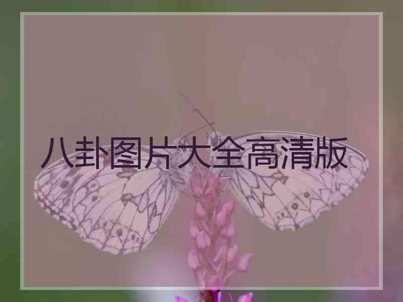 八卦图片大全高清版