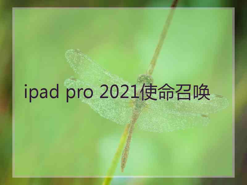 ipad pro 2021使命召唤