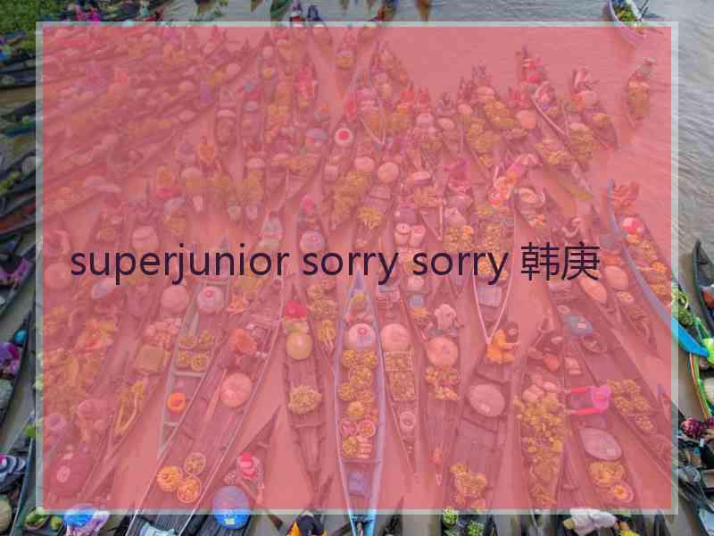 superjunior sorry sorry 韩庚