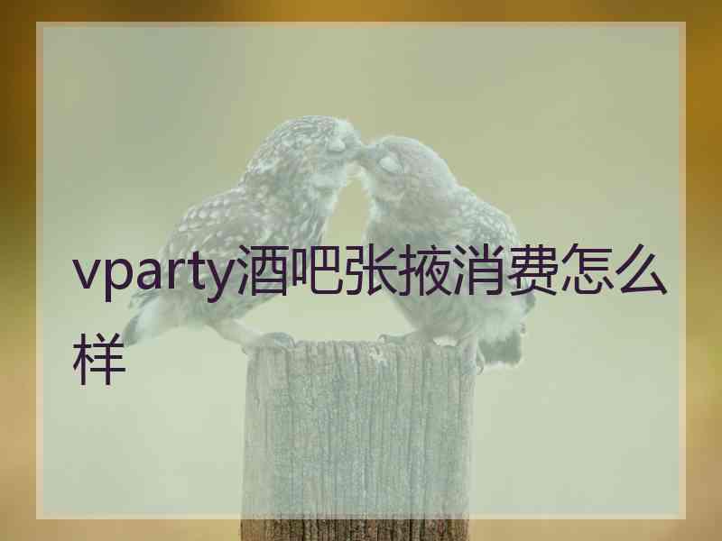 vparty酒吧张掖消费怎么样