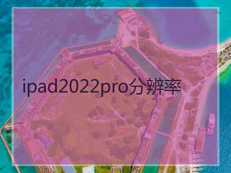 ipad2022pro分辨率