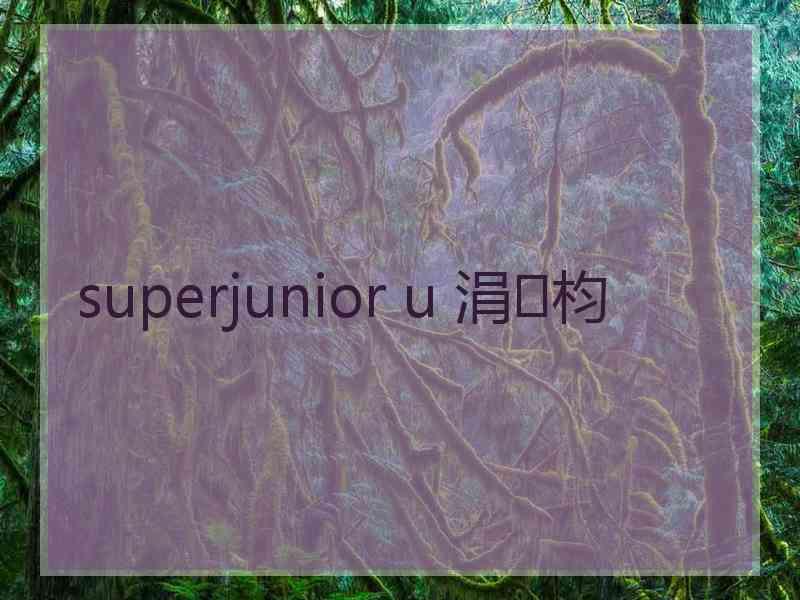 superjunior u 涓枃