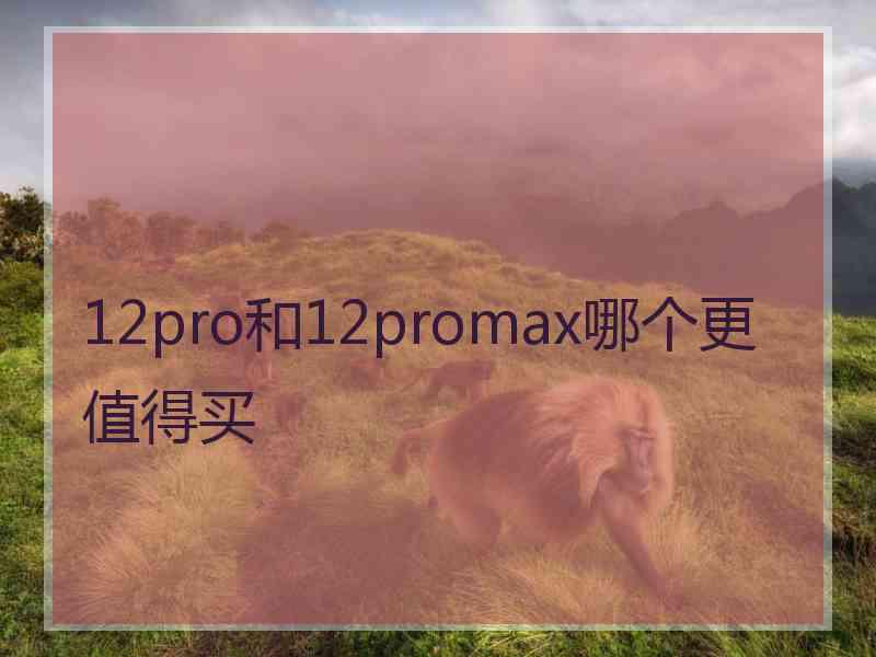 12pro和12promax哪个更值得买