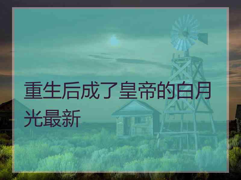 重生后成了皇帝的白月光最新