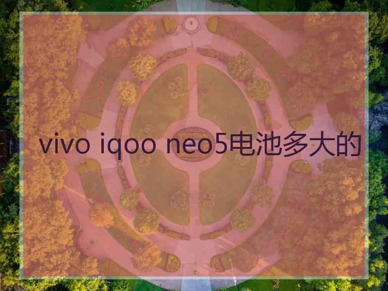 vivo iqoo neo5电池多大的