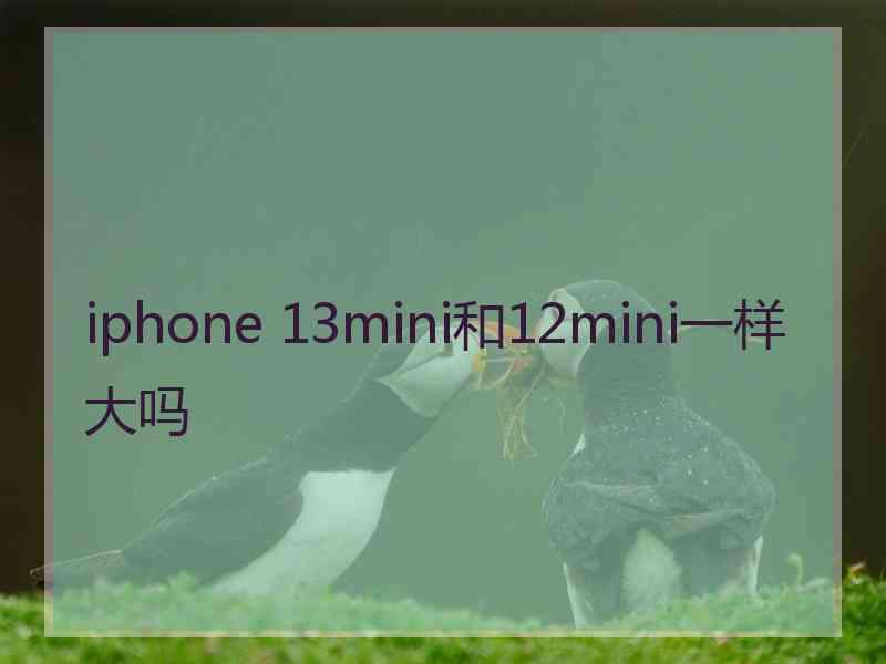 iphone 13mini和12mini一样大吗