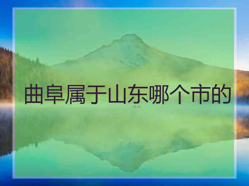 曲阜属于山东哪个市的