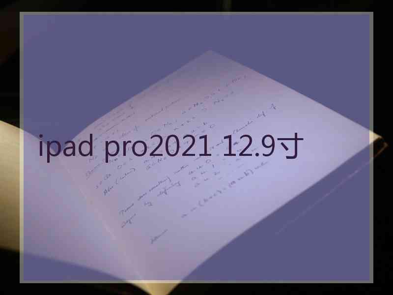 ipad pro2021 12.9寸