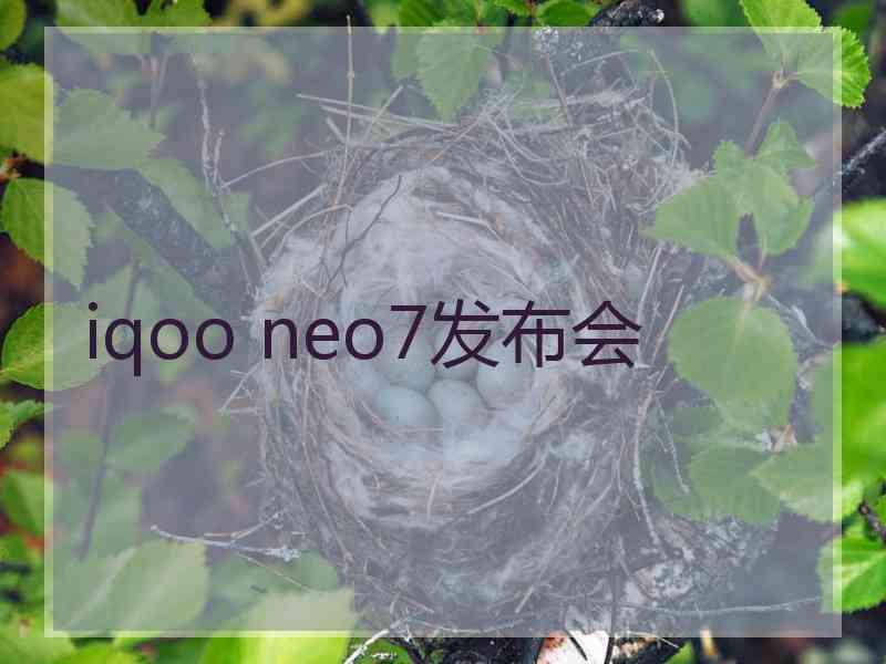 iqoo neo7发布会