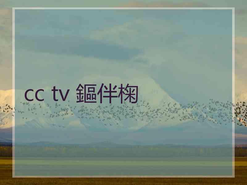 cc tv 鏂伴椈