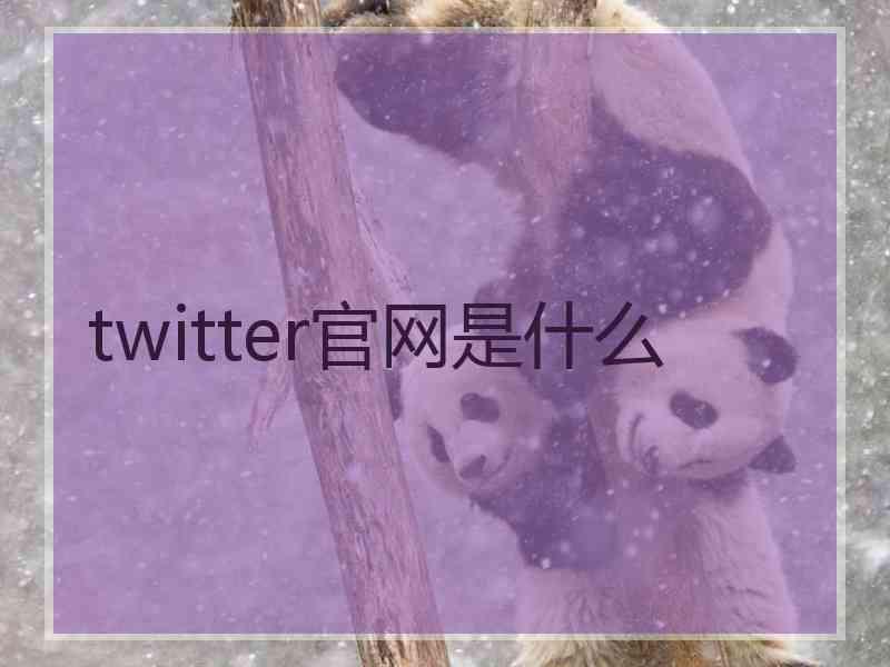 twitter官网是什么