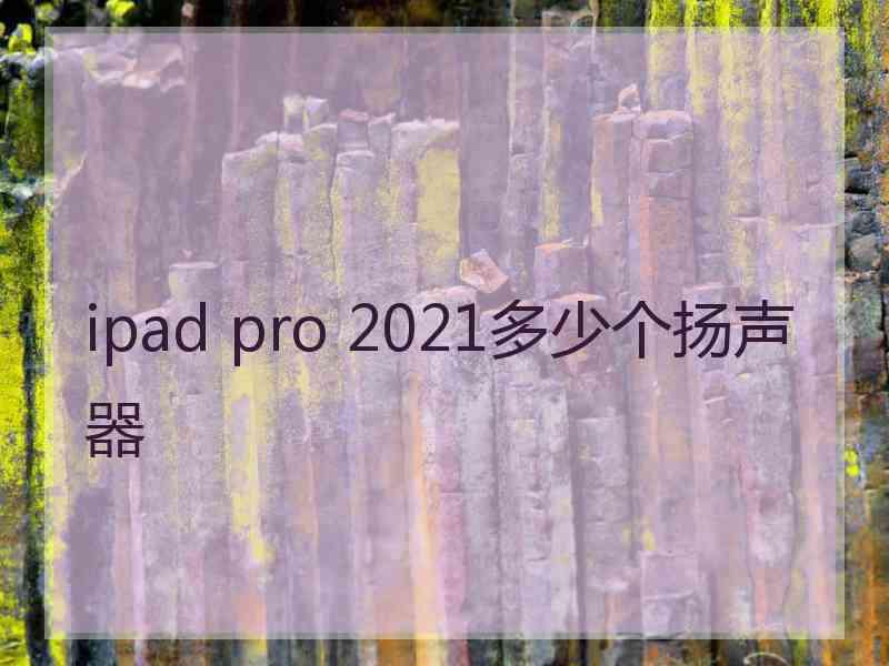 ipad pro 2021多少个扬声器