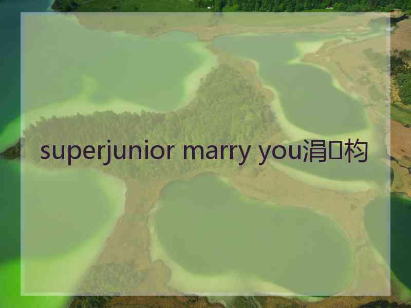 superjunior marry you涓枃