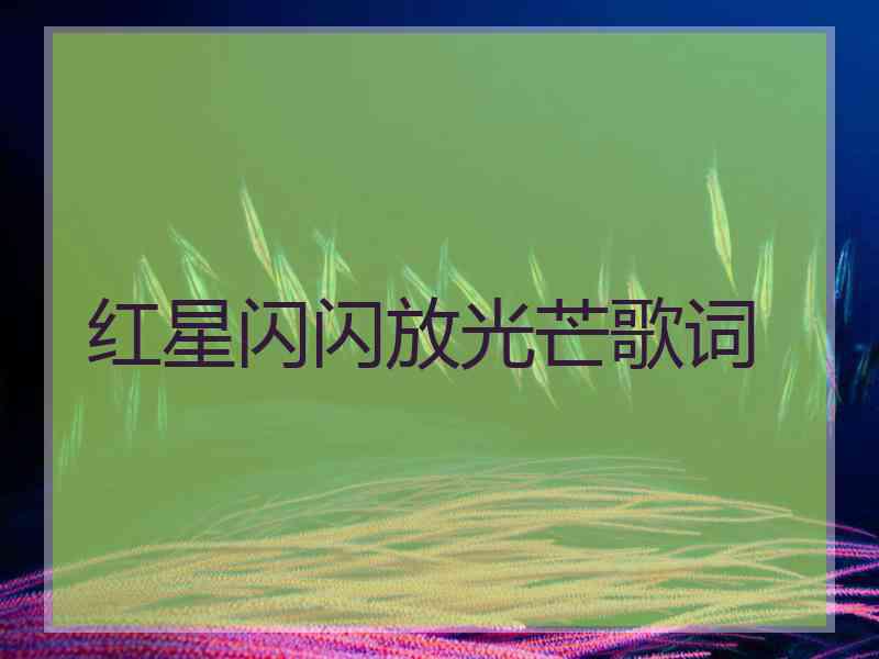 红星闪闪放光芒歌词