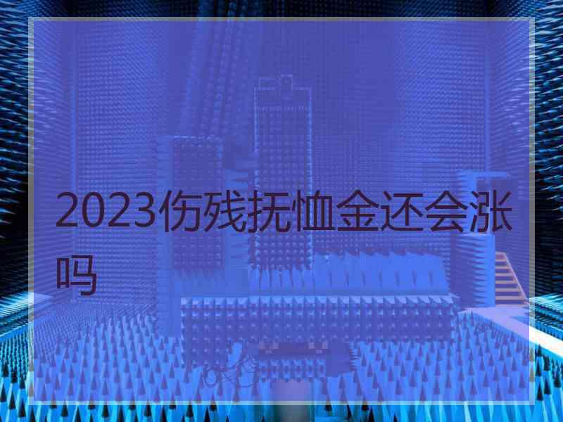 2023伤残抚恤金还会涨吗