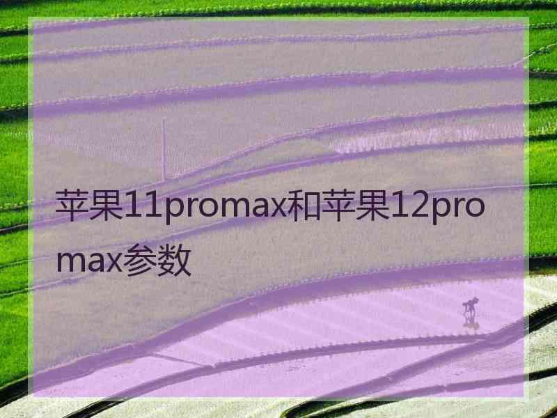 苹果11promax和苹果12promax参数