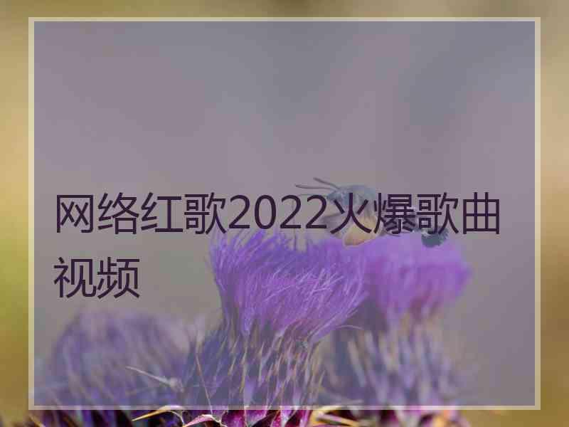 网络红歌2022火爆歌曲视频