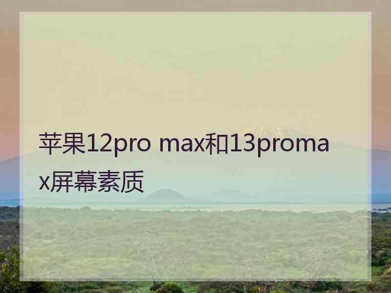 苹果12pro max和13promax屏幕素质